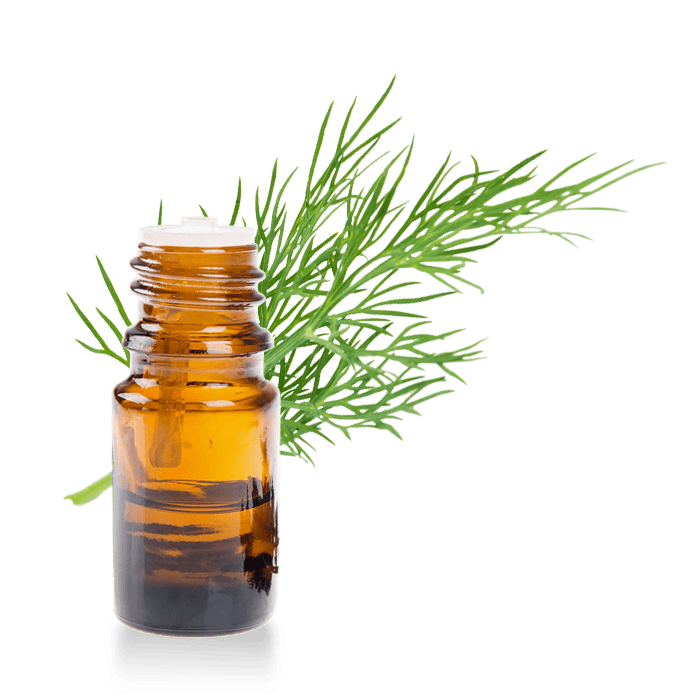 Essential Medical Oils